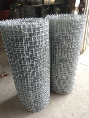 LƯỚI KẼM ĐAN 